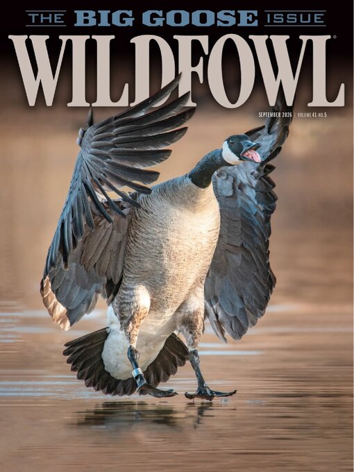 Cover image for Wildfowl